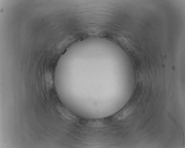 X0000074331106200609082025