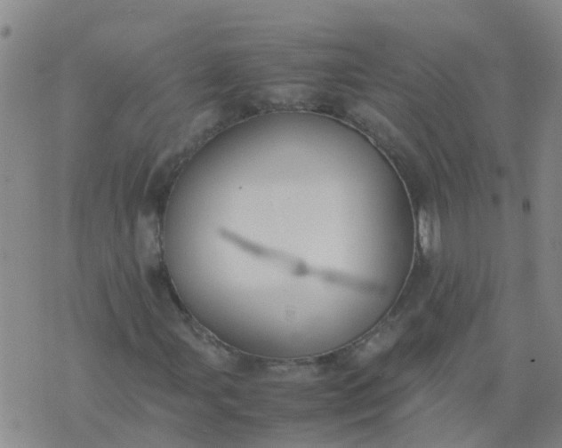 X0000074331107200609082025