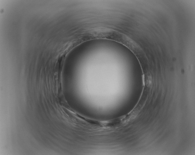 X0000074331108200609082025