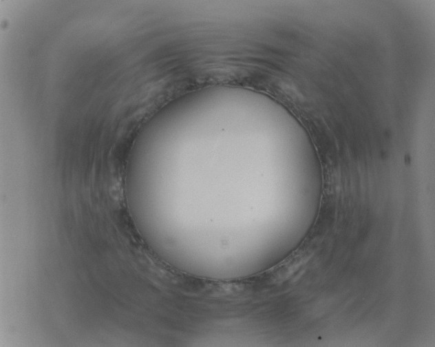 X0000074331109200609082025