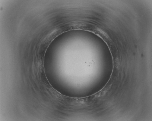 X0000074331111200609082025