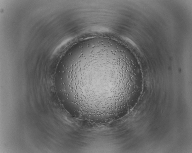 X0000074331112200609082025