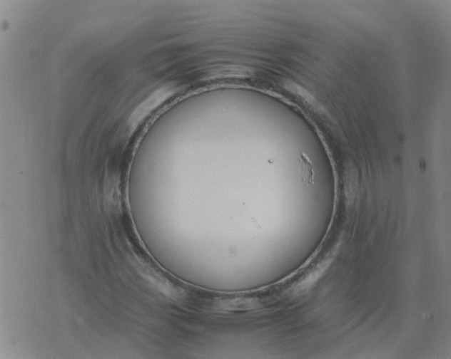 X0000074331113200609082025