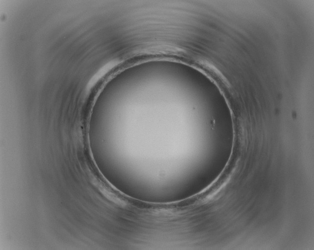 X0000074331114200609082025