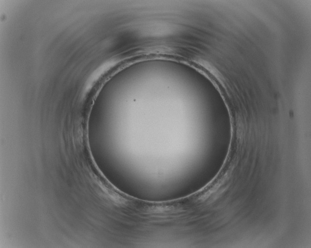 X0000074331115200609082025