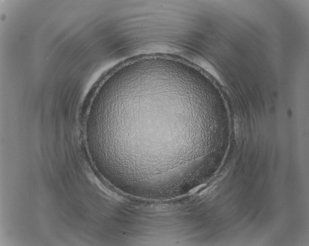 X0000074331116200609082025