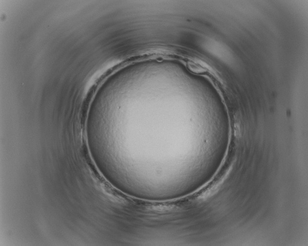 X0000074331117200609082025