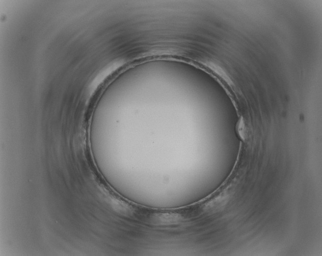 X0000074331119200609082025