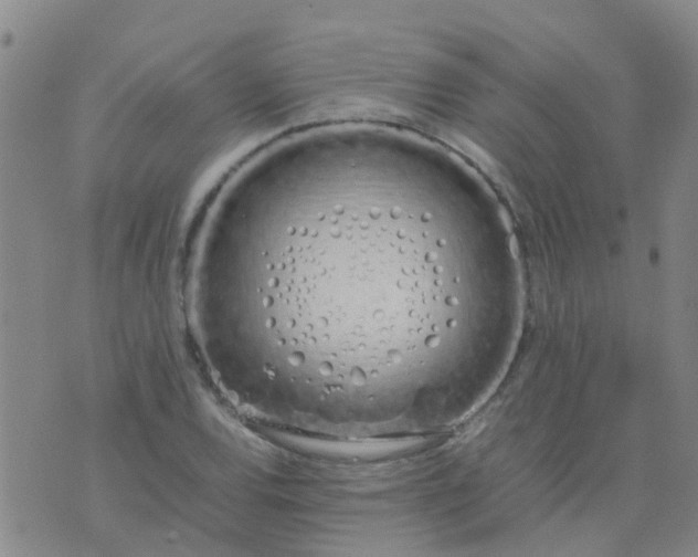 X0000074331120200609082025