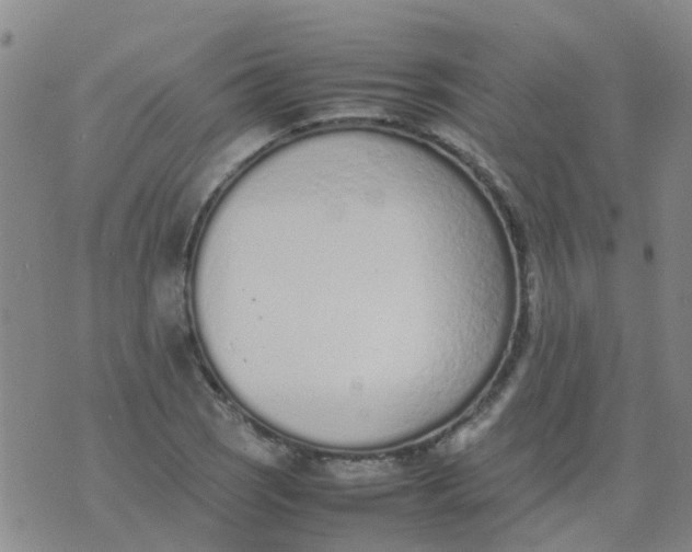 X0000074331121200609082025