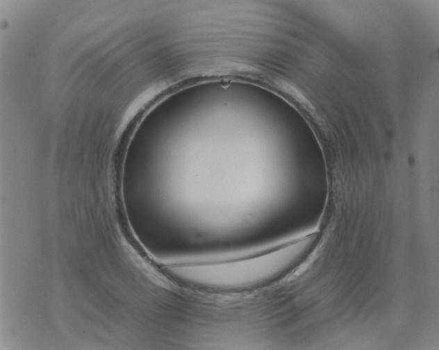 X0000074331122200609082025