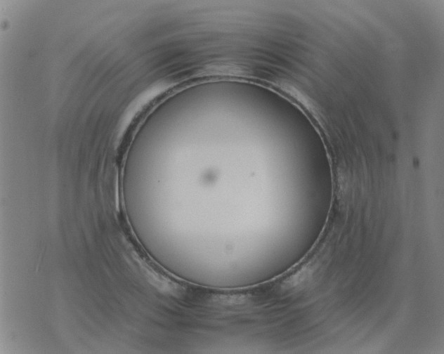 X0000074331123200609082025