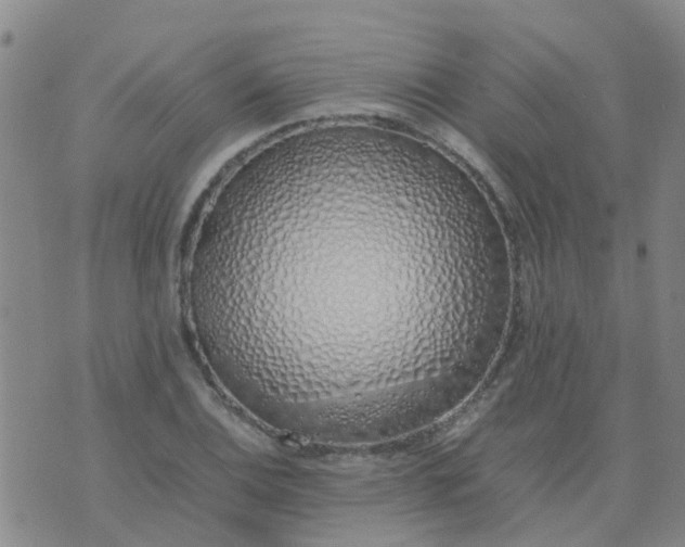 X0000074331124200609082025