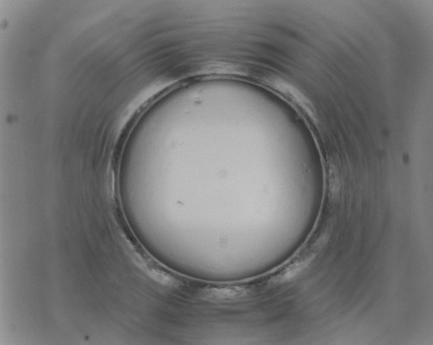 X0000074331125200609082025