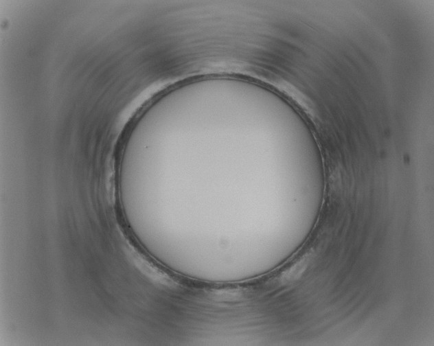 X0000074331126200609082025