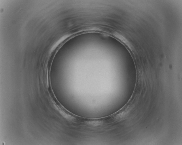 X0000074331127200609082025