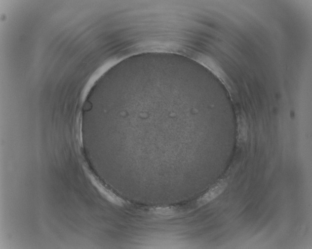 X0000074331128200609082025