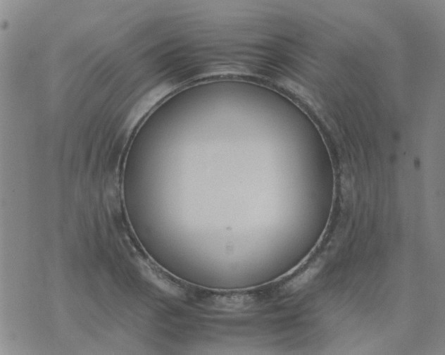 X0000074331129200609082025