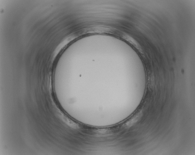 X0000074331130200609082025