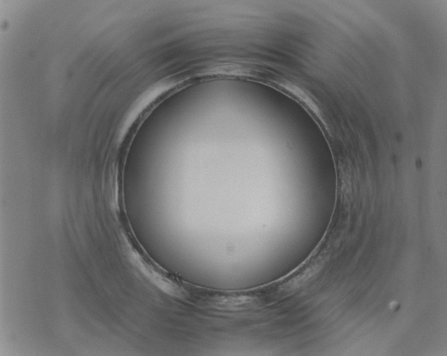 X0000074331131200609082025