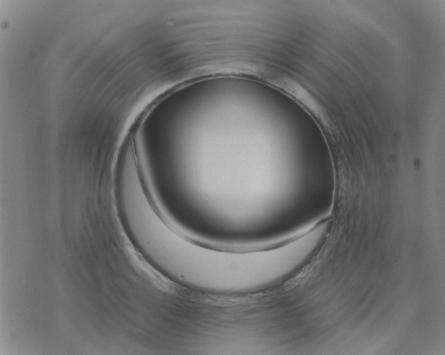 X0000074331132200609082025