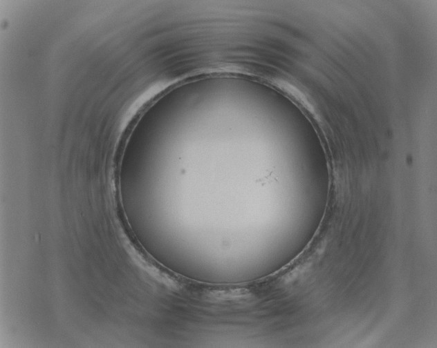 X0000074331133200609082025