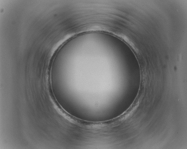 X0000074331134200609082025