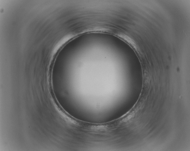 X0000074331135200609082025