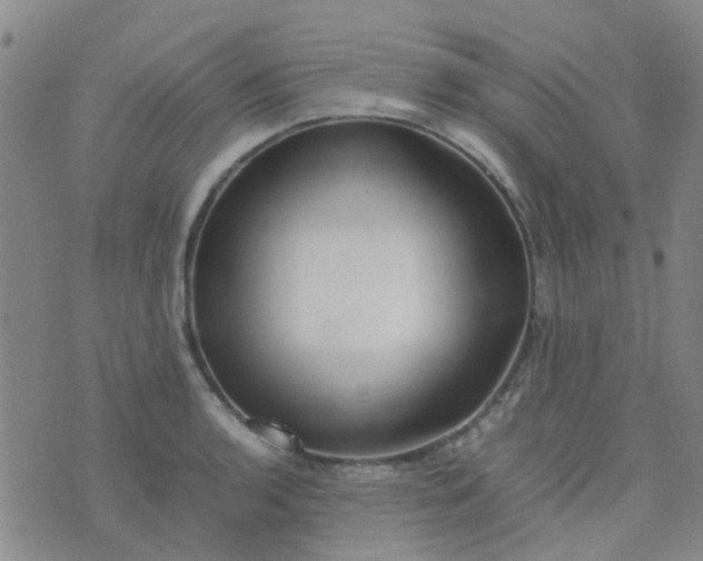 X0000074331136200609082025