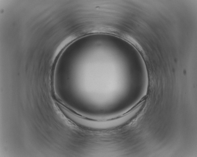 X0000074331138200609082025