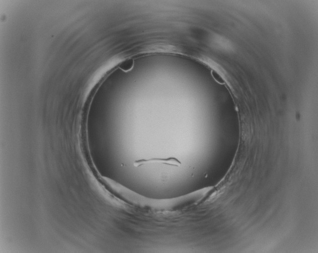 X0000074331139200609082025