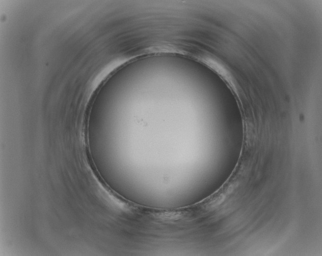 X0000074331141200609082026