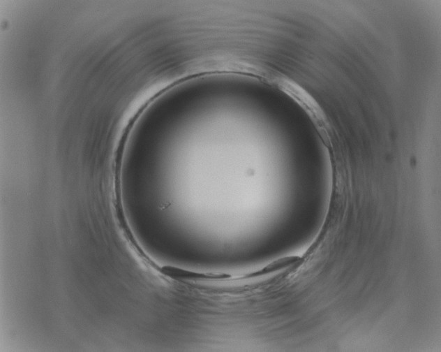 X0000074331144200609082026