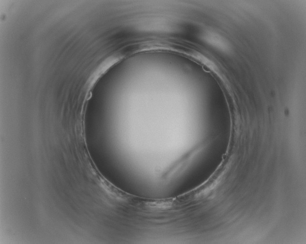 X0000074331145200609082026