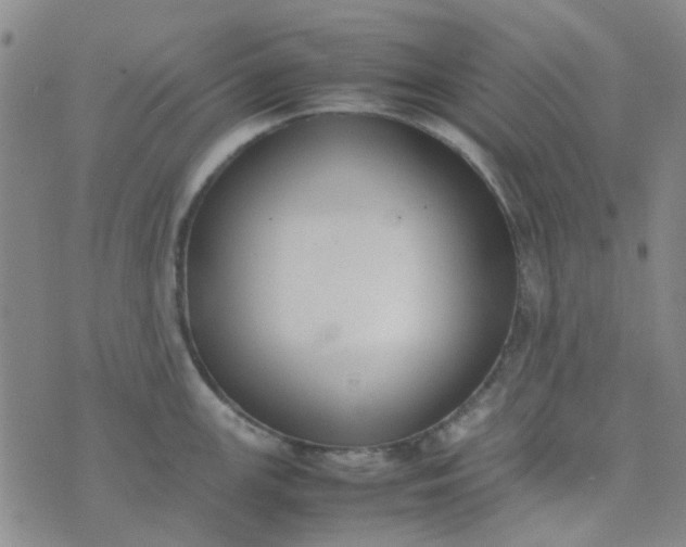 X0000074331147200609082026