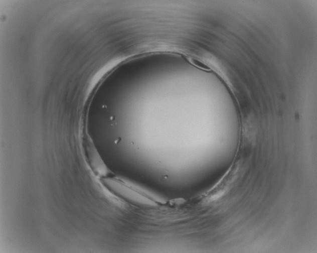 X0000074331149200609082026