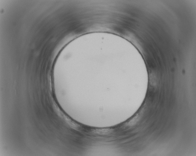 X0000074331150200609082026