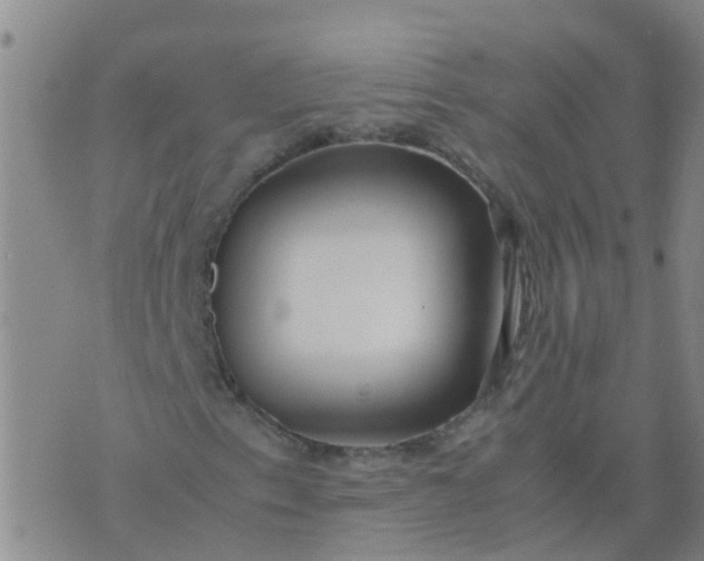 X0000074331153200609082025