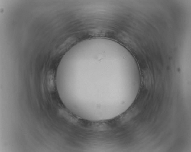 X0000074331154200609082025