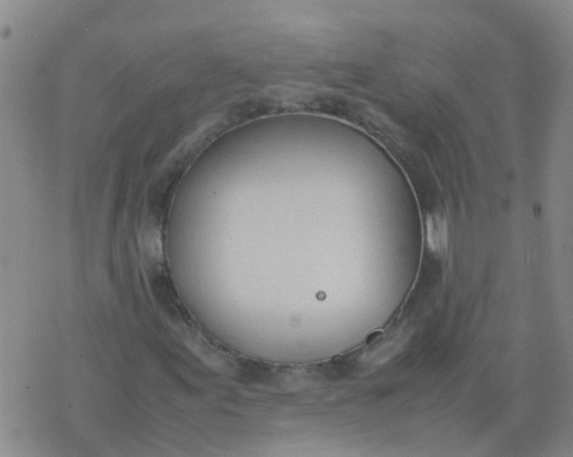 X0000074331155200609082025