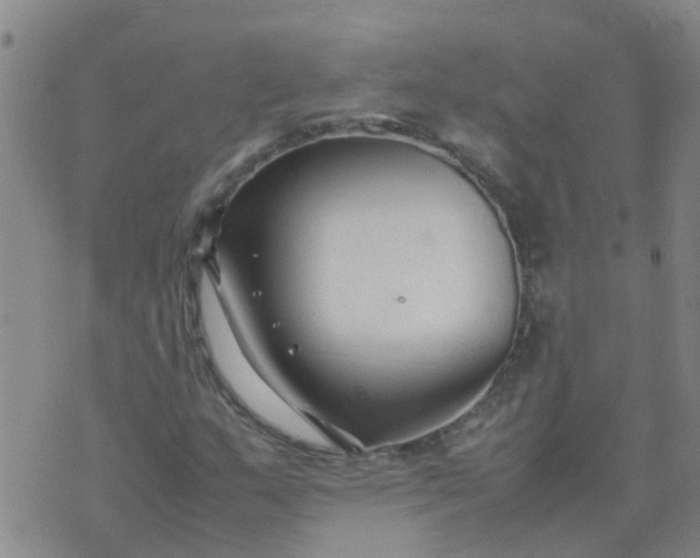 X0000074331159200609082025