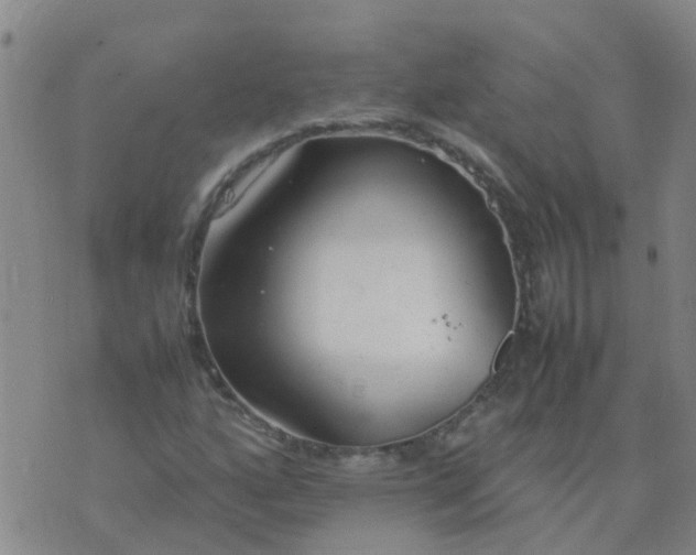 X0000074331160200609082025