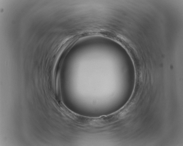 X0000074331161200609082025