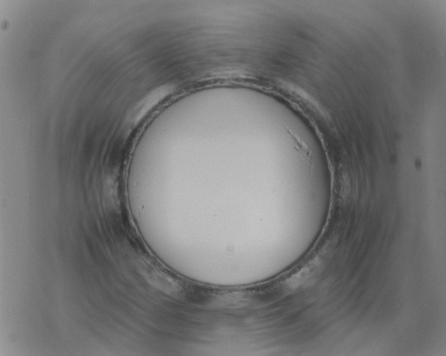 X0000074331162200609082025