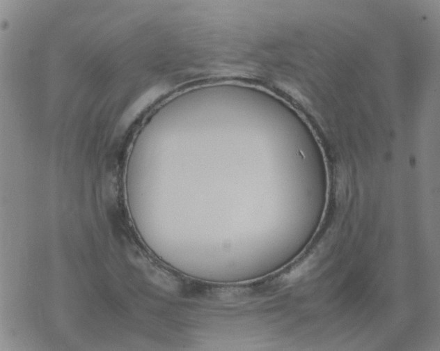 X0000074331163200609082025