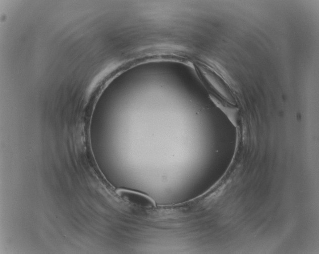 X0000074331164200609082025