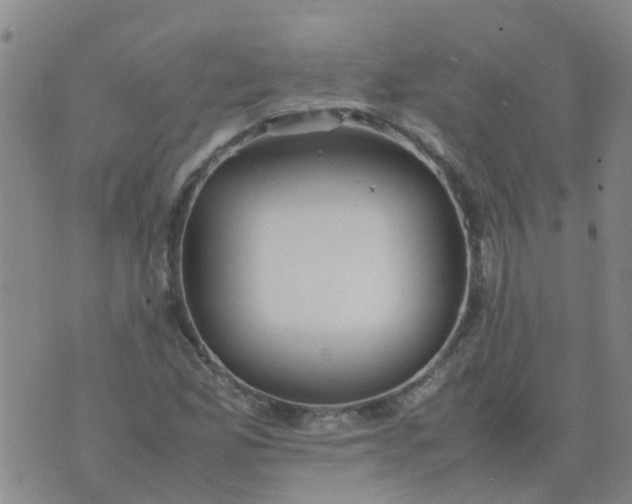 X0000074331165200609082025