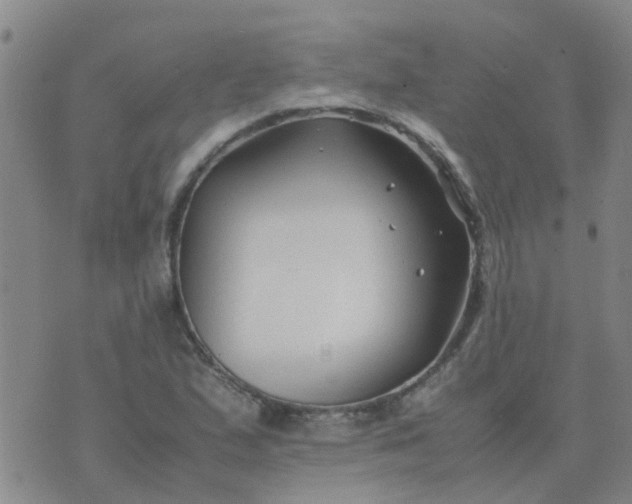 X0000074331167200609082025