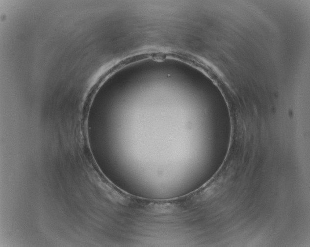 X0000074331168200609082025