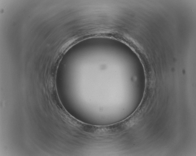 X0000074331169200609082025